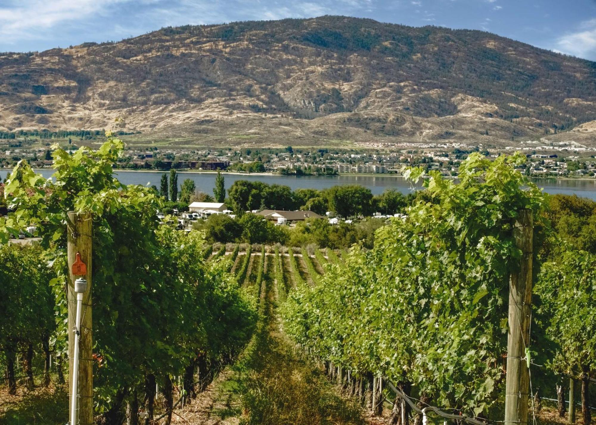 Coast Osoyoos Beach Hotel Exteriör bild
